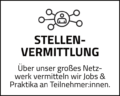 Grafik als Netzwerk mit Headline Stellenvermittlung